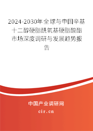 2024-2030年全球與中國辛基十二醇硬脂酰氧基硬脂酸酯市場深度調(diào)研與發(fā)展趨勢報(bào)告