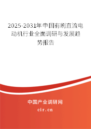 2025-2031年中國有刷直流電動機(jī)行業(yè)全面調(diào)研與發(fā)展趨勢報告