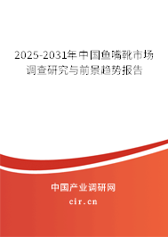 2025-2031年中國魚嘴靴市場調(diào)查研究與前景趨勢報告 2025-2031年中國魚嘴靴市場調(diào)查研究與前景趨勢報告