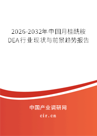 2025-2031年中國月桂酰胺DEA行業(yè)現(xiàn)狀與前景趨勢報告