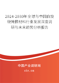 2024-2030年全球與中國自旋硬掩模材料行業(yè)發(fā)展深度調(diào)研與未來趨勢分析報告