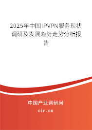 2025年中國IPVPN服務(wù)現(xiàn)狀調(diào)研及發(fā)展趨勢走勢分析報告