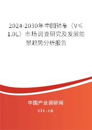 2024-2030年中國(guó)轎車(chē)（V≤1.0L）市場(chǎng)調(diào)查研究及發(fā)展前景趨勢(shì)分析報(bào)告