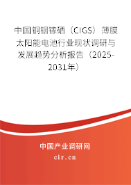 中國銅銦鎵硒（CIGS）薄膜太陽能電池行業(yè)現(xiàn)狀調研與發(fā)展趨勢分析報告（2025-2031年）