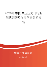 2026年中國(guó)中壓壓力計(jì)行業(yè)現(xiàn)狀調(diào)研及發(fā)展前景分析報(bào)告 2026年中國(guó)中壓壓力計(jì)行業(yè)現(xiàn)狀調(diào)研及發(fā)展前景分析報(bào)告