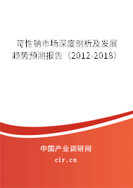 苛性鈉市場深度剖析及發(fā)展趨勢預測報告（2012-2018）