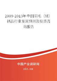 2009-2013年中國羽毛（絨）制品行業(yè)發(fā)展預(yù)測及投資咨詢報告