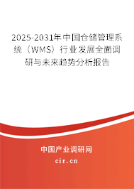 2025-2031年中國(guó)倉(cāng)儲(chǔ)管理系統(tǒng)（WMS）行業(yè)發(fā)展全面調(diào)研與未來趨勢(shì)分析報(bào)告