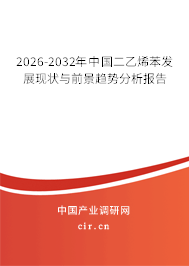 2026-2032年中國(guó)二乙烯苯發(fā)展現(xiàn)狀與前景趨勢(shì)分析報(bào)告