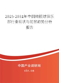 2024-2030年中國橄欖球俱樂部行業(yè)現(xiàn)狀與前景趨勢分析報(bào)告