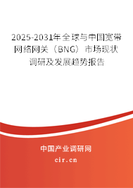 2025-2031年全球與中國寬帶網絡網關（BNG）市場現(xiàn)狀調研及發(fā)展趨勢報告