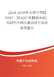 2024-2030年全球與中國PARP(聚ADP-核糖聚合酶)抑制劑市場全面調(diào)研與發(fā)展趨勢(shì)報(bào)告 2024-2030年全球與中國PARP(聚ADP-核糖聚合酶)抑制劑市場全面調(diào)研與發(fā)展趨勢(shì)報(bào)告