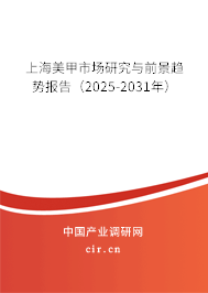 上海美甲市場研究與前景趨勢報告（2025-2031年）