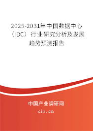 2025-2031年中國數(shù)據(jù)中心（IDC）行業(yè)研究分析及發(fā)展趨勢預(yù)測報(bào)告