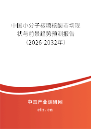 中國小分子核糖核酸市場現(xiàn)狀與前景趨勢預(yù)測報告（2025-2031年）