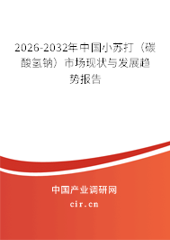 2026-2032年中國小蘇打(碳酸氫鈉)市場現(xiàn)狀與發(fā)展趨勢報告 2026-2032年中國小蘇打(碳酸氫鈉)市場現(xiàn)狀與發(fā)展趨勢報告