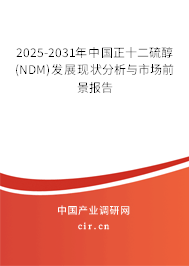 2025-2031年中國正十二硫醇(NDM)發(fā)展現(xiàn)狀分析與市場(chǎng)前景報(bào)告 2025-2031年中國正十二硫醇(NDM)發(fā)展現(xiàn)狀分析與市場(chǎng)前景報(bào)告