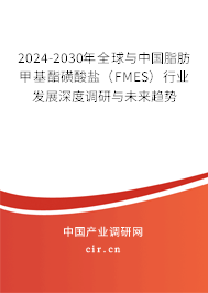 2024-2030年全球與中國(guó)脂肪甲基酯磺酸鹽（FMES）行業(yè)發(fā)展深度調(diào)研與未來趨勢(shì)