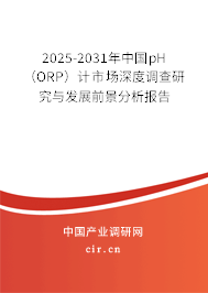 2025-2031年中國pH（ORP）計(jì)市場深度調(diào)查研究與發(fā)展前景分析報(bào)告
