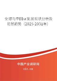 全球與中國vr發(fā)展現(xiàn)狀分析及前景趨勢（2025-2031年）