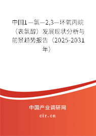 中國(guó)1—氯—2,3—環(huán)氧丙烷（表氯醇）發(fā)展現(xiàn)狀分析與前景趨勢(shì)報(bào)告（2025-2031年）