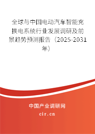 全球與中國電動汽車智能充換電系統(tǒng)行業(yè)發(fā)展調(diào)研及前景趨勢預測報告（2025-2031年）