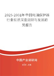 2025-2031年中國電涌保護(hù)器行業(yè)現(xiàn)狀深度調(diào)研與發(fā)展趨勢報告