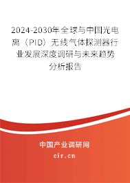 2024-2030年全球與中國光電離（PID）無線氣體探測器行業(yè)發(fā)展深度調(diào)研與未來趨勢分析報告