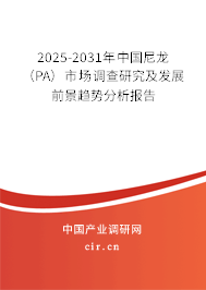 2025-2031年中國尼龍（PA）市場調(diào)查研究及發(fā)展前景趨勢分析報告