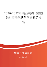 2026-2032年山西純堿（碳酸鈉）市場現(xiàn)狀與前景趨勢報告