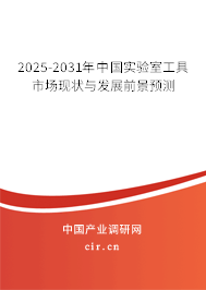 2025-2031年中國(guó)實(shí)驗(yàn)室工具市場(chǎng)現(xiàn)狀與發(fā)展前景預(yù)測(cè)