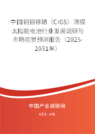 中國銅銦鎵硒（CIGS）薄膜太陽能電池行業(yè)發(fā)展調(diào)研與市場(chǎng)前景預(yù)測(cè)報(bào)告（2025-2031年）