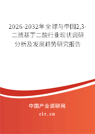 2026-2032年全球與中國2,3-二巰基丁二酸行業(yè)現(xiàn)狀調(diào)研分析及發(fā)展趨勢研究報告