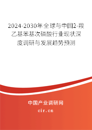 2024-2030年全球與中國2-羧乙基苯基次磷酸行業(yè)現(xiàn)狀深度調(diào)研與發(fā)展趨勢預(yù)測 2024-2030年全球與中國2-羧乙基苯基次磷酸行業(yè)現(xiàn)狀深度調(diào)研與發(fā)展趨勢預(yù)測