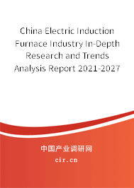 China Electric Induction Furnace Industry In-Depth Research and Trends Analysis Report 2021-2027
