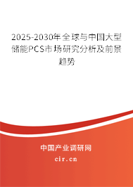 2025-2030年全球與中國(guó)大型儲(chǔ)能PCS市場(chǎng)研究分析及前景趨勢(shì)