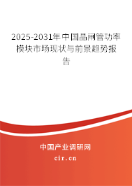 2024-2030年中國(guó)晶閘管功率模塊市場(chǎng)現(xiàn)狀與前景趨勢(shì)報(bào)告