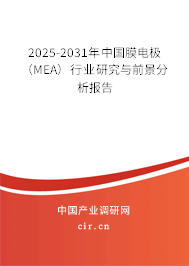 2025-2031年中國(guó)膜電極（MEA）行業(yè)研究與前景分析報(bào)告