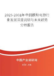 2025-2031年中國模塊電源行業(yè)發(fā)展深度調(diào)研與未來趨勢分析報(bào)告