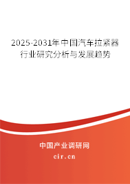 2025-2031年中國汽車拉緊器行業(yè)研究分析與發(fā)展趨勢
