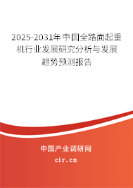 2025-2031年中國全路面起重機(jī)行業(yè)發(fā)展研究分析與發(fā)展趨勢(shì)預(yù)測報(bào)告