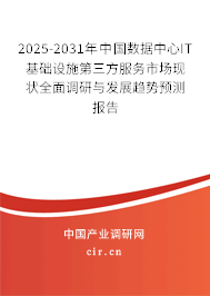2025-2031年中國數(shù)據(jù)中心IT基礎設施第三方服務市場現(xiàn)狀全面調(diào)研與發(fā)展趨勢預測報告