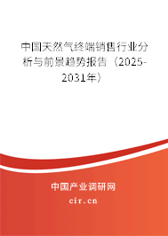 中國天然氣終端銷售行業(yè)分析與前景趨勢報告（2025-2031年）