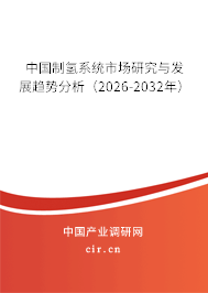 中國(guó)制氫系統(tǒng)市場(chǎng)研究與發(fā)展趨勢(shì)分析（2025-2031年）