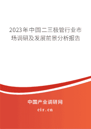 2023年中國(guó)二三極管行業(yè)市場(chǎng)調(diào)研及發(fā)展前景分析報(bào)告
