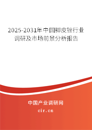 2025-2031年中國(guó)腳皮銼行業(yè)調(diào)研及市場(chǎng)前景分析報(bào)告