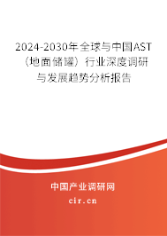 2024-2030年全球與中國AST（地面儲罐）行業(yè)深度調研與發(fā)展趨勢分析報告