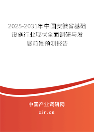 2025-2031年中國(guó)安徽省基礎(chǔ)設(shè)施行業(yè)現(xiàn)狀全面調(diào)研與發(fā)展前景預(yù)測(cè)報(bào)告 2025-2031年中國(guó)安徽省基礎(chǔ)設(shè)施行業(yè)現(xiàn)狀全面調(diào)研與發(fā)展前景預(yù)測(cè)報(bào)告