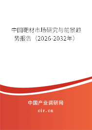 中國靶材市場研究與前景趨勢報告（2026-2032年）