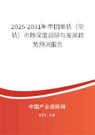 2025-2031年中國單軌（空軌）市場深度調研與發(fā)展趨勢預測報告